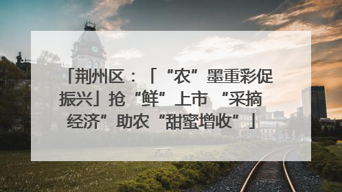 荆州区：「“农”墨重彩促振兴」抢“鲜”上市 “采摘经济”助农“甜蜜增收”
