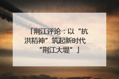 荆江评论：以“抗洪精神”筑起新时代“荆江大堤”