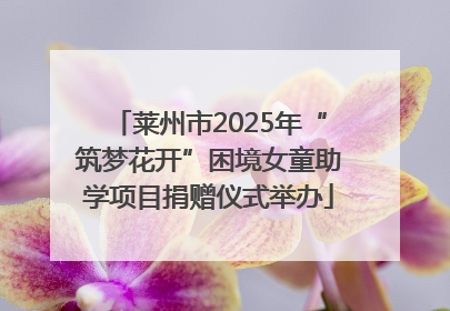 莱州市2025年“筑梦花开”困境女童助学项目捐赠仪式举办