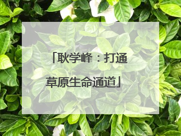 耿学峰：打通草原生命通道