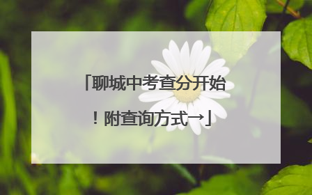 聊城中考查分开始！附查询方式→
