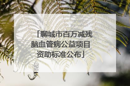 聊城市百万减残脑血管病公益项目资助标准公布