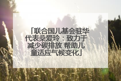 联合国儿基会驻华代表桑爱玲：致力于减少碳排放 帮助儿童适应气候变化