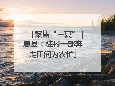 聚焦“三夏”｜息县：驻村干部奔走田间为农忙
