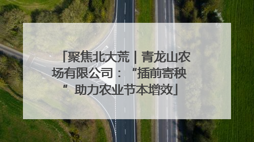 聚焦北大荒｜青龙山农场有限公司：“插前寄秧”助力农业节本增效