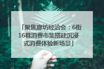 聚焦廊坊经洽会：6街16巷消费市集搭建沉浸式消费体验新场景