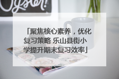 聚焦核心素养，优化复习策略 乐山县街小学提升期末复习效率