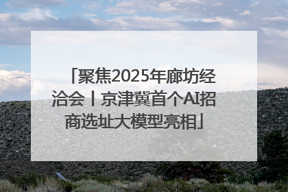 聚焦2025年廊坊经洽会丨京津冀首个AI招商选址大模型亮相