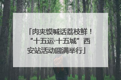 肉夹馍喊话荔枝鲜！“十五运·十五城”西安站活动圆满举行