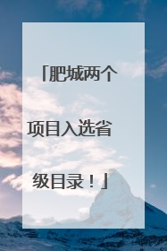 肥城两个项目入选省级目录！