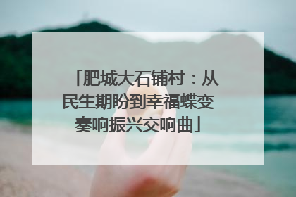 肥城大石铺村：从民生期盼到幸福蝶变奏响振兴交响曲