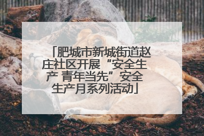 肥城市新城街道赵庄社区开展“安全生产 青年当先”安全生产月系列活动