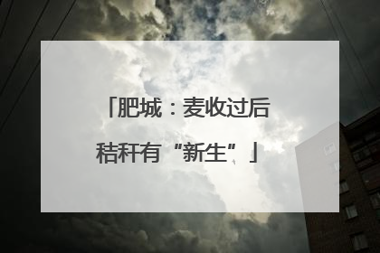 肥城：麦收过后秸秆有“新生”
