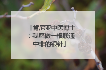 肯尼亚中医博士：我愿做一根联通中非的银针