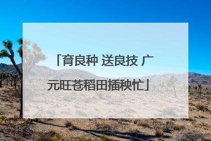 育良种 送良技 广元旺苍稻田插秧忙