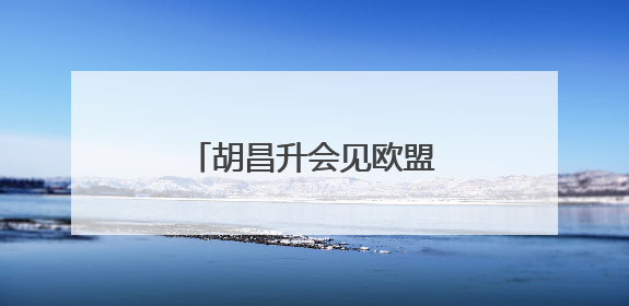 胡昌升会见欧盟国家驻华使节团
