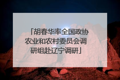 胡春华率全国政协农业和农村委员会调研组赴辽宁调研
