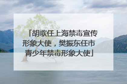 胡歌任上海禁毒宣传形象大使，樊振东任市青少年禁毒形象大使