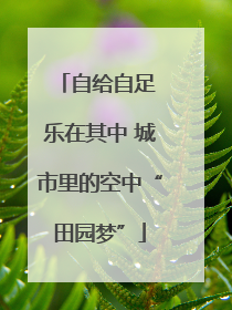 自给自足 乐在其中 城市里的空中“田园梦”