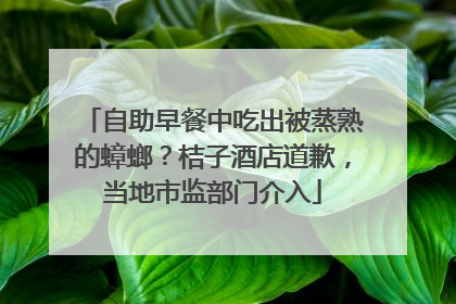 自助早餐中吃出被蒸熟的蟑螂？桔子酒店道歉，当地市监部门介入