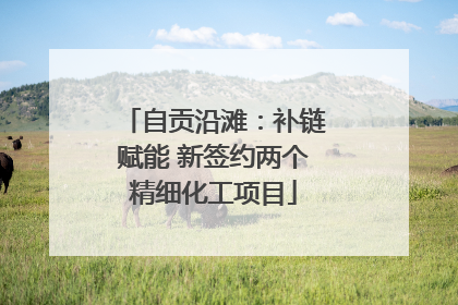 自贡沿滩：补链赋能 新签约两个精细化工项目