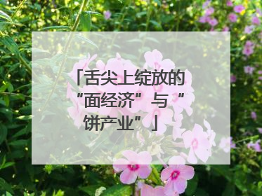 舌尖上绽放的“面经济”与“饼产业”