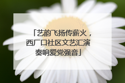 艺韵飞扬传薪火，西厂口社区文艺汇演奏响爱党强音