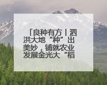 良种有方丨泗洪大地“种”出美妙，铺就农业发展金光大“稻”！