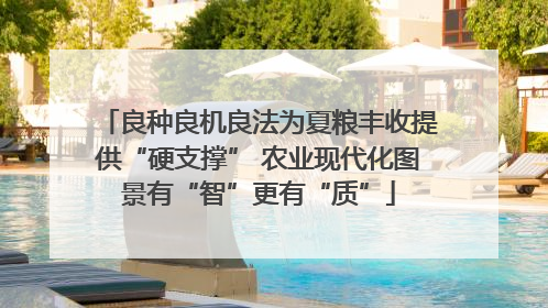 良种良机良法为夏粮丰收提供“硬支撑” 农业现代化图景有“智”更有“质”