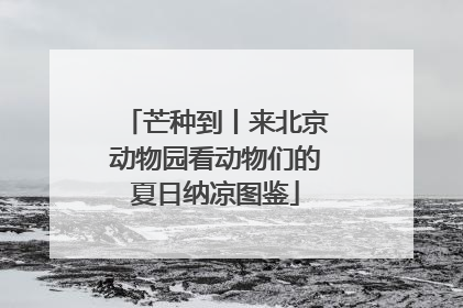 芒种到丨来北京动物园看动物们的夏日纳凉图鉴