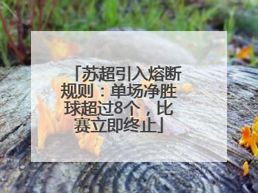 苏超引入熔断规则：单场净胜球超过8个，比赛立即终止