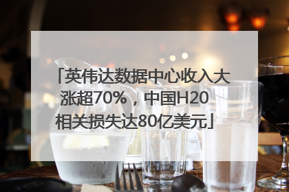 英伟达数据中心收入大涨超70%，中国H20相关损失达80亿美元