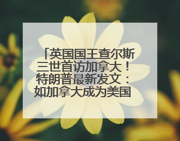 英国国王查尔斯三世首访加拿大！特朗普最新发文：如加拿大成为美国第51州可免费用“金穹”