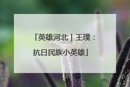 英雄河北｜王璞：抗日民族小英雄