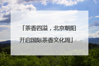 茶香四溢，北京朝阳开启国际茶香文化周