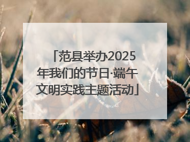 范县举办2025年我们的节日·端午文明实践主题活动