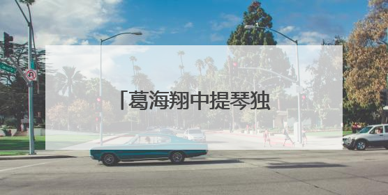 葛海翔中提琴独奏音乐会在苏州第六中学精彩举行