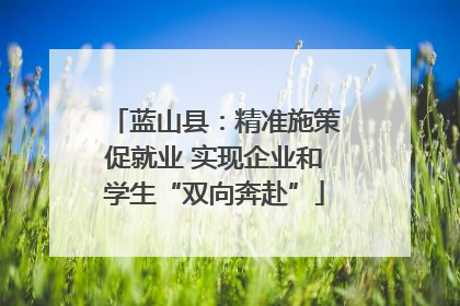 蓝山县：精准施策促就业 实现企业和学生“双向奔赴”