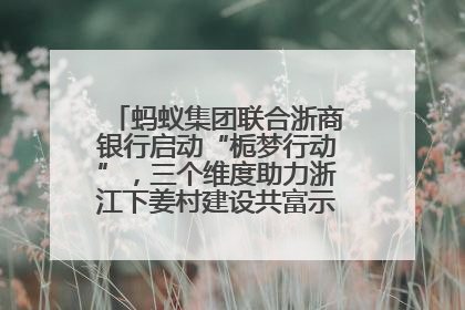 蚂蚁集团联合浙商银行启动“栀梦行动”，三个维度助力浙江下姜村建设共富示范区示范点