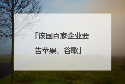 该国百家企业要告苹果、谷歌