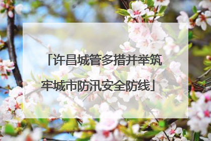 许昌城管多措并举筑牢城市防汛安全防线