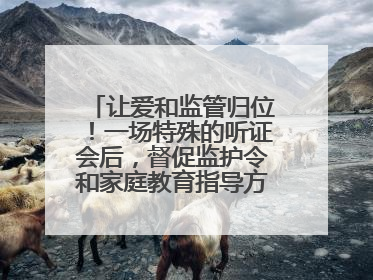 让爱和监管归位！一场特殊的听证会后，督促监护令和家庭教育指导方案同时送达