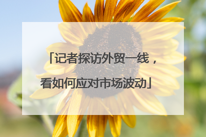 记者探访外贸一线，看如何应对市场波动