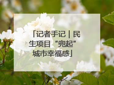 记者手记｜民生项目“兜起”城市幸福感