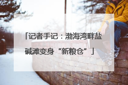 记者手记：渤海湾畔盐碱滩变身“新粮仓”
