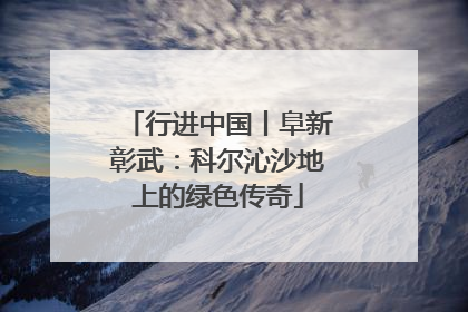 行进中国丨阜新彰武：科尔沁沙地上的绿色传奇