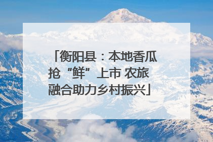 衡阳县：本地香瓜抢“鲜”上市 农旅融合助力乡村振兴