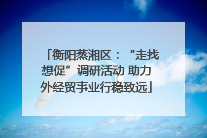 衡阳蒸湘区：“走找想促”调研活动 助力外经贸事业行稳致远