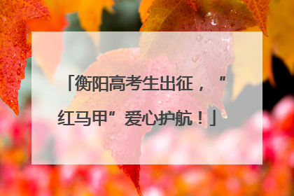 衡阳高考生出征，“红马甲”爱心护航！