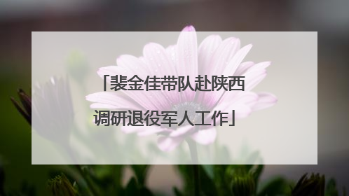 裴金佳带队赴陕西调研退役军人工作